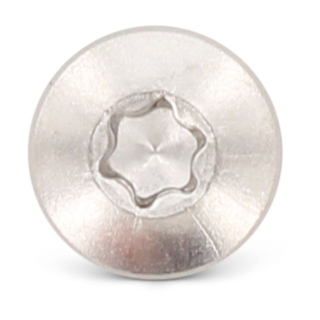 1 x Itseporautuva ruuvi Lieriöpää 6.3X38 TORX T30 Ruostumaton teräs AISI 410