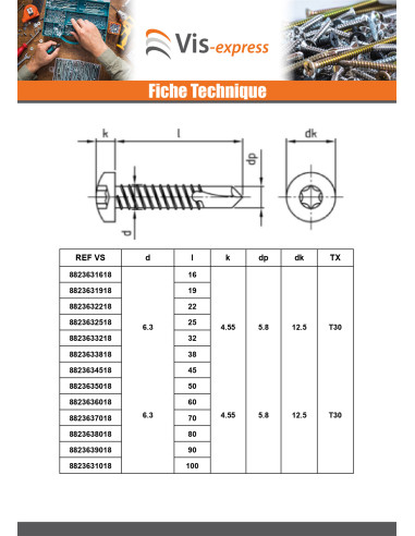 1 x Itseporautuva ruuvi Lieriöpää 4,8x25 TORX...