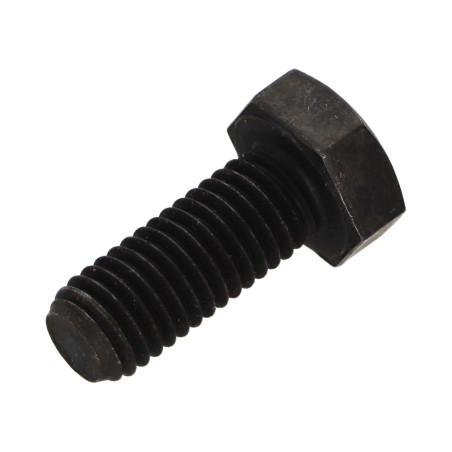 1 x Metalliruuvit Kuusiopää TH M10X25 Luokka 8.8 Raakateräs