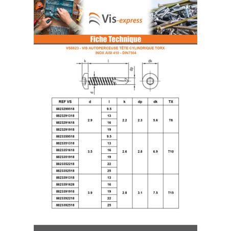 1 x Itseporautuva ruuvi Lieriöpää 4,8 x 100 TORX T25 Ruostumaton teräs AISI 410