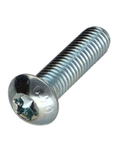 Metalliruuvit Kupupää TORX T40 M8X30 Luokka 10.9 Sinkitty...
