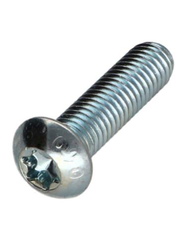 1 x Metalliruuvit Kupupää TORX T40 M8X30 Luokka...