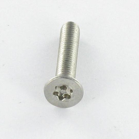 1 x Metalliruuvit Ruostumaton teräs A2 Väärinkäytöltä suojattu uppokantainen TORX T20 + Tappi 4X6