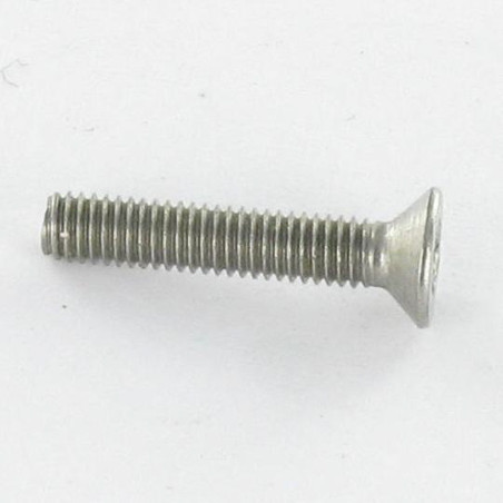 1 x Metalliruuvit Ruostumaton teräs A2 Väärinkäytöltä suojattu uppokantainen TORX T20 + Tappi 4X6
