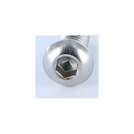 1 x Metalliruuvit BHC (Bombée Hexagonal creux / kupukantainen kuusiopää) M6X8 Kokonaan kierteytetty Avain 4 HC4
