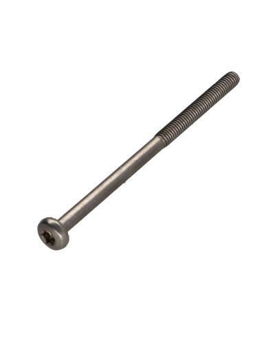 1 x Metalliruuvit Kupumainen lieriöpää TORX T20...