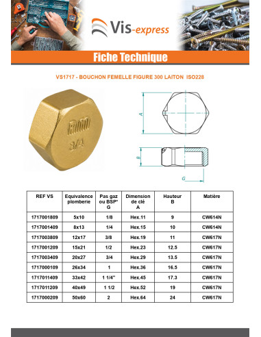 1 x Naarasliitin Kuva 300 12x17 (3/8') Messinki