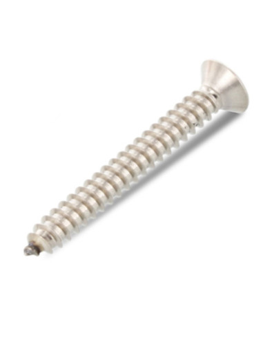1 x Levyruuvi uppokantainen 4.2x70 TORX T20...