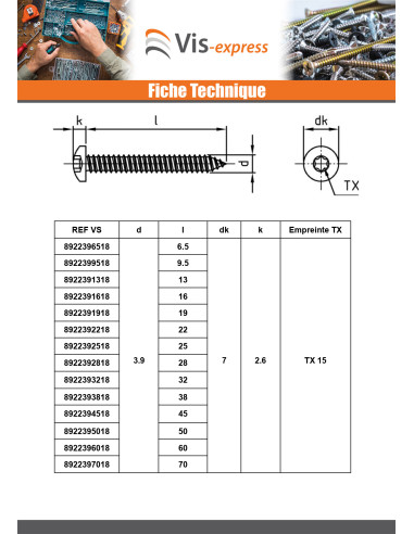 1 x Levyruuvi Kupumainen lieriöpää 4.2X38 TORX...