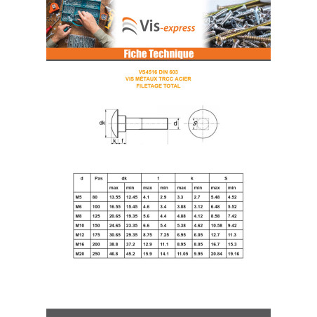1 x Pyöreä neliöpää laipalla M5X25 Kokonaan kierteytetty Nikkelöity teräs