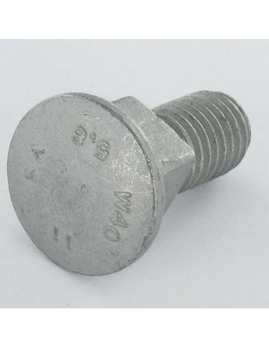 1 x Pyöreä neliöpää laipalla M10X25...
