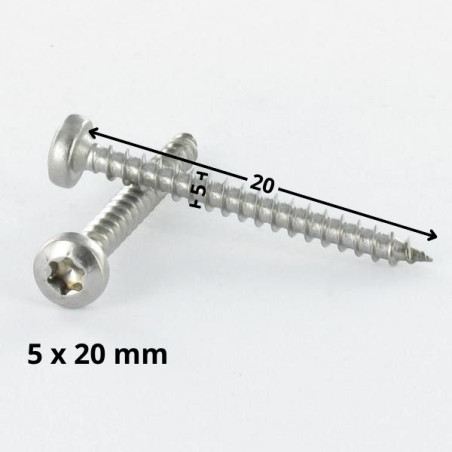 1 x Puuruuvi Pyöreä pää 5X20 TORX T25 Sinkitty teräs
