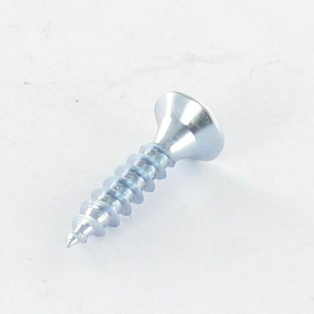 1 x Puuruuvi uppokantainen TORX T20 4X20 Sinkitty teräs