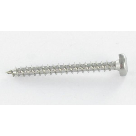 1 x Puuruuvi Pyöreä pää 4x50 TORX T20 Sinkitty teräs