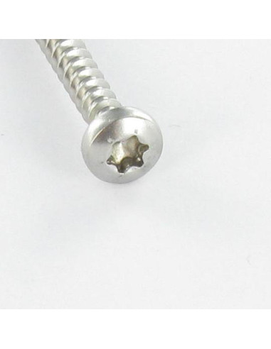 1 x Puuruuvi Pyöreä pää 4x50 TORX T20 Sinkitty...