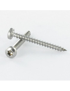 Puuruuvi Pyöreä pää 5X25 TORX T25 Sinkitty teräs