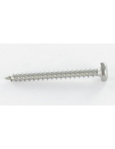 Puuruuvi Pyöreä pää 5X25 TORX T25 Sinkitty teräs 2