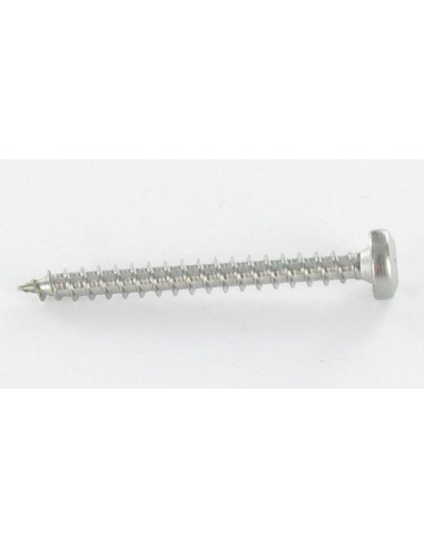 1 x Puuruuvi Pyöreä pää 5X25 TORX T25 Sinkitty...