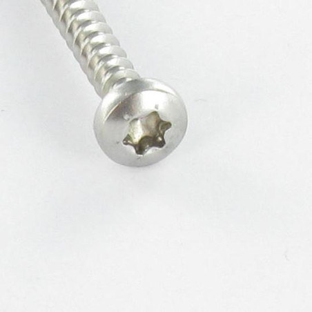 1 x Puuruuvi Pyöreä pää 5x60 TORX T25 Sinkitty teräs