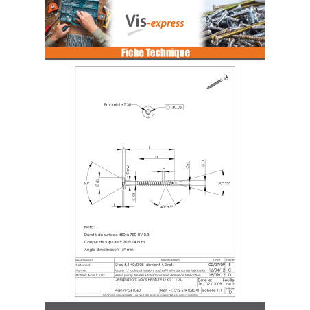1 x Ruuvi Sarana 6X20 Kokonaan kierteytetty TORX T30 Sinkitty teräs