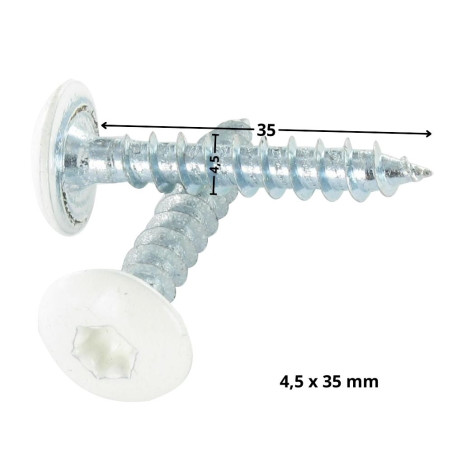 1 x Ruuvi Sarana 4,5x35 Kokonaan kierteytetty TORX T20 Sinkitty teräs RAL 9010 puhtaanvalkoinen