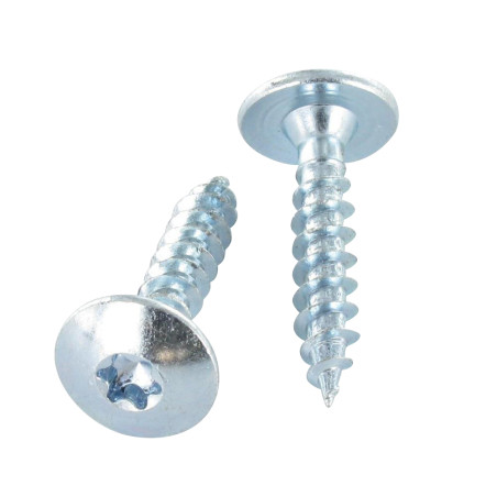 1 x Ruuvi Sarana 4,5x50 Kokonaan kierteytetty TORX T20 Sinkitty teräs LAQ RAL1019