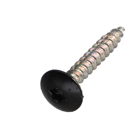 1 x Ruuvi Sarana 6x40 Osittain kierteytetty TORX T30 Sinkitty teräs Musta lakkaus 9005