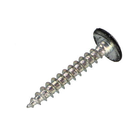 1 x Ruuvi Sarana 6x40 Osittain kierteytetty TORX T30 Sinkitty teräs Musta lakkaus 9005