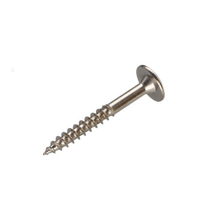 1 x Ruuvi Sarana 4X30 Kierteytetty kohteessa 20 TORX T20 Nikkelöity teräs