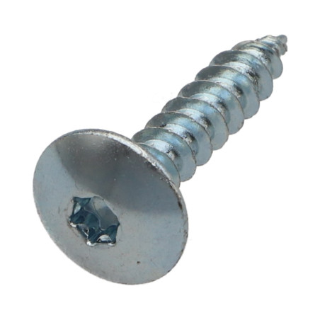 1 x Ruuvi Sarana 6X25 Kokonaan kierteytetty TORX T30 Sinkitty teräs