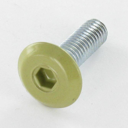 1 x Metalliruuvit litteällä päällä Avain 4 HC4 M6X20 Sinkitty teräs Pää RAL1020