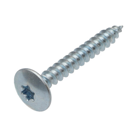 1 x Ruuvi Sarana 6x45 Osittain kierteytetty TORX T30 Sinkitty teräs