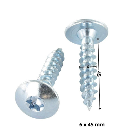 1 x Ruuvi Sarana 6x45 Osittain kierteytetty TORX T30 Sinkitty teräs
