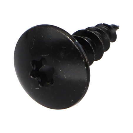 1 x Ruuvi Sarana 5X16 Kokonaan kierteytetty TORX T20 Musta sinkitty teräs