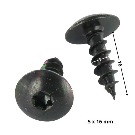 1 x Ruuvi Sarana 5X16 Kokonaan kierteytetty TORX T20 Musta sinkitty teräs