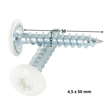 1 x Ruuvi Sarana 4,5x50 Kokonaan kierteytetty TORX T20 Sinkitty teräs LAQ RAL 9010 puhtaanvalkoinen