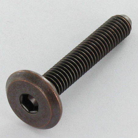 1 x Metalliruuvit litteällä päällä Avain 5 HC5 M8X30 pronssi teräs