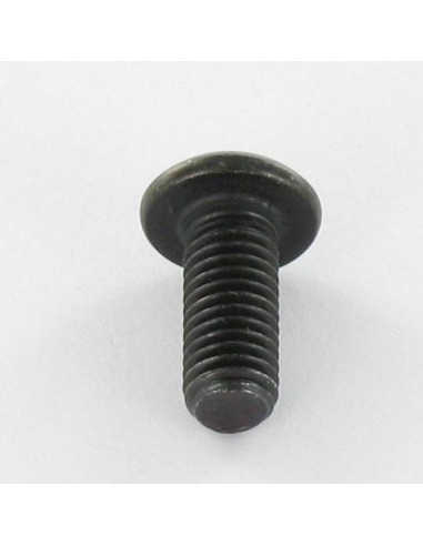 1 x Metalliruuvit BHC (Bombée Hexagonal creux /...