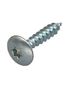 Ruuvi Sarana 6x40 Kokonaan kierteytetty TORX T30 Sinkitty...