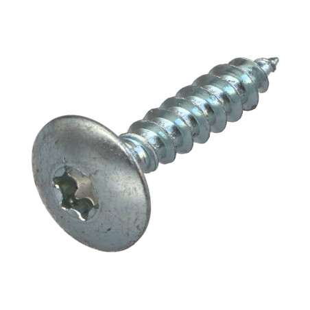 1 x Ruuvi Sarana 6x40 Kokonaan kierteytetty TORX T30 Sinkitty teräs