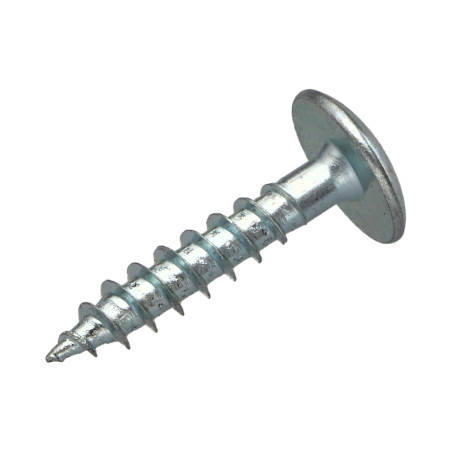 1 x Ruuvi Sarana 6x40 Kokonaan kierteytetty TORX T30 Sinkitty teräs