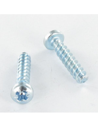 1 x PVC-ruuvi Kupumainen lieriöpää Pozi PZ9 2,2...