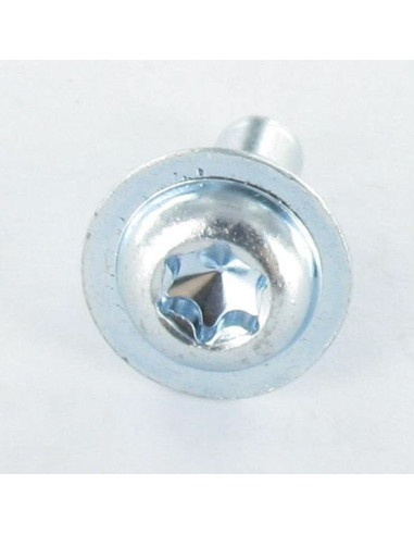 1 x Metalliruuvit Pyöreä suuri pää TORX T30...