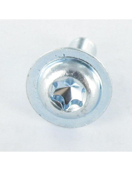 1 x Metalliruuvit Pyöreä suuri pää TORX T30 M6X16 Ohjauspää Sinkitty teräs