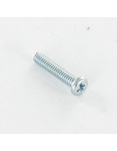 1 x Itsekierteittävä ruuvi Kierre Metallit Lieriöpää Phillips M2X5 Sinkitty teräs mikroruuvi