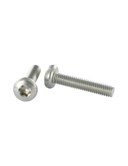 1 x Metalliruuvit leveä kupukantainen Ruostumaton teräs A2 M8X25 TORX T45