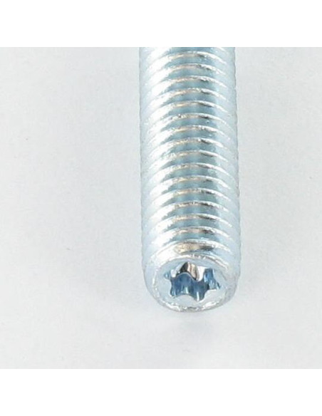 1 x Pinnapultti Fischer STST TORX T25 Sinkitty teräs 10x100