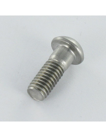 1 x Metalliruuvit Kupumainen lieriöpää Ruostumaton teräs A2 M6X16 Pään halkaisija: 10.3 TORX T20