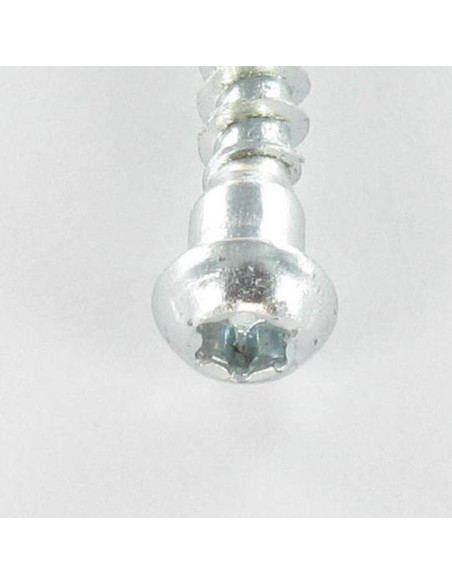 1 x Ruuvi LAITTEISTOT KULMA Lieriöpää TORX T20 "Halkeamista estävä kärki Sinkitty teräs 5x45