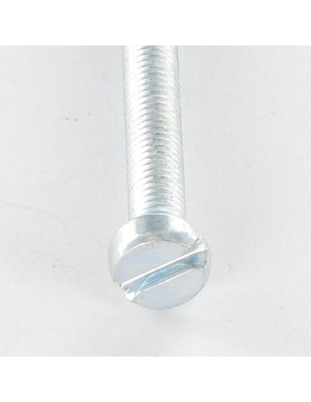 1 x Metalliruuvit Lieriöpää Halkaistu M6X20 Sinkitty teräs
